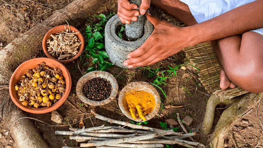 Medicina Indígena: Conexão com a Natureza e Sabedoria Ancestral